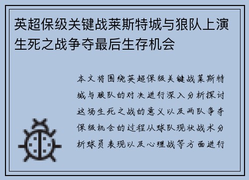 英超保级关键战莱斯特城与狼队上演生死之战争夺最后生存机会