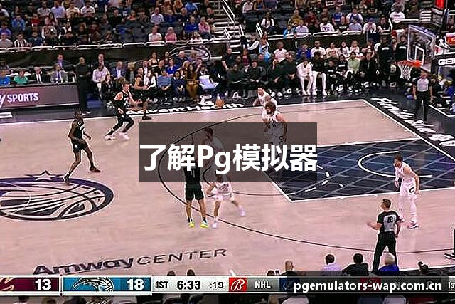 了解Pg模拟器